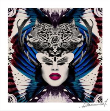 Queenie by Olly Howe