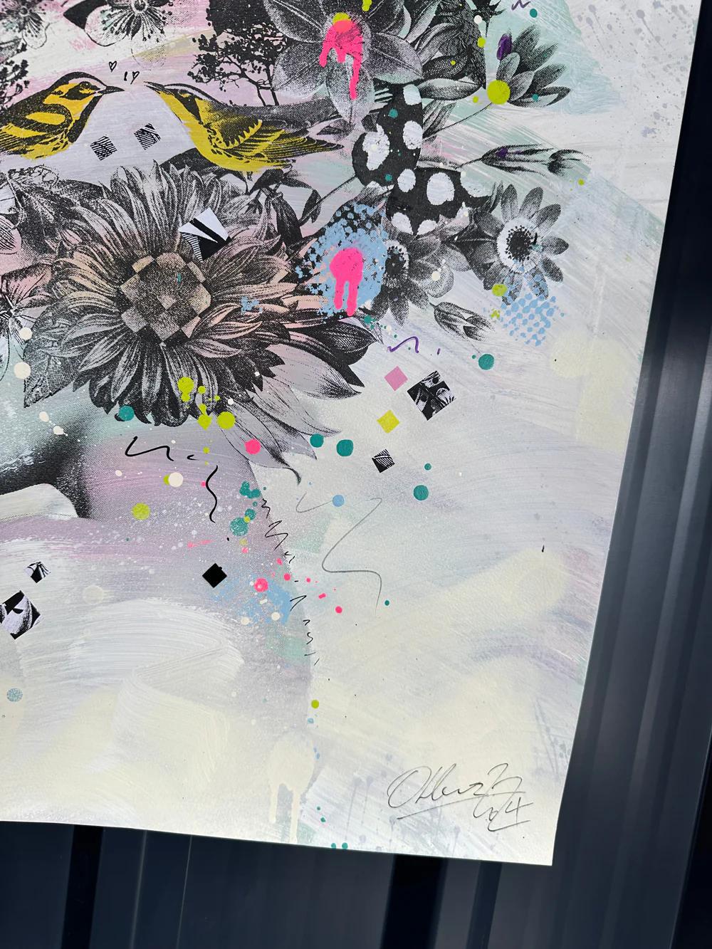 Blossom V1 - Framed by Olly Howe