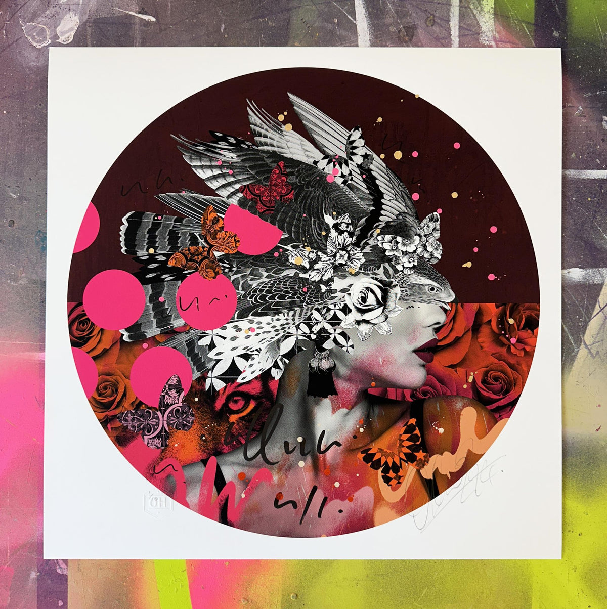 Lady Hawk - Framed by Olly Howe