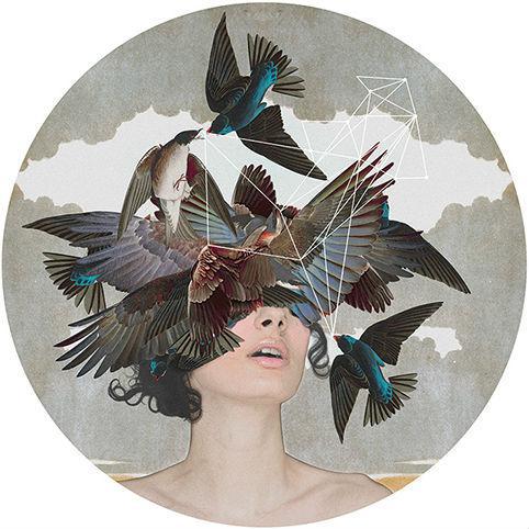 Swallow Blind - Framed by Alexandra Gallagher