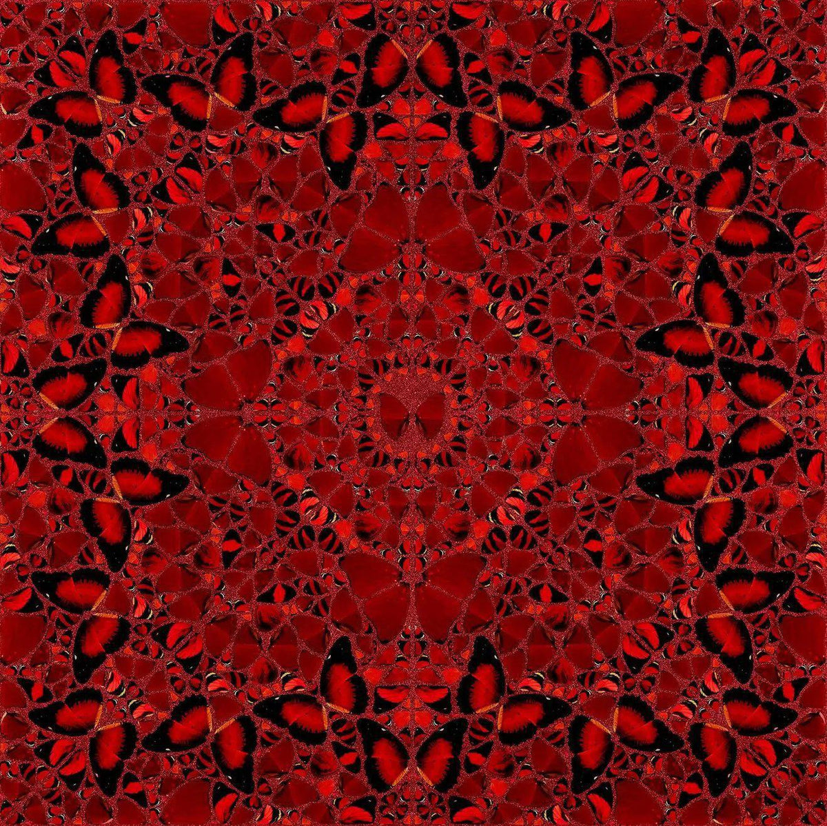H10-2 Nūr Jahān by Damien Hirst