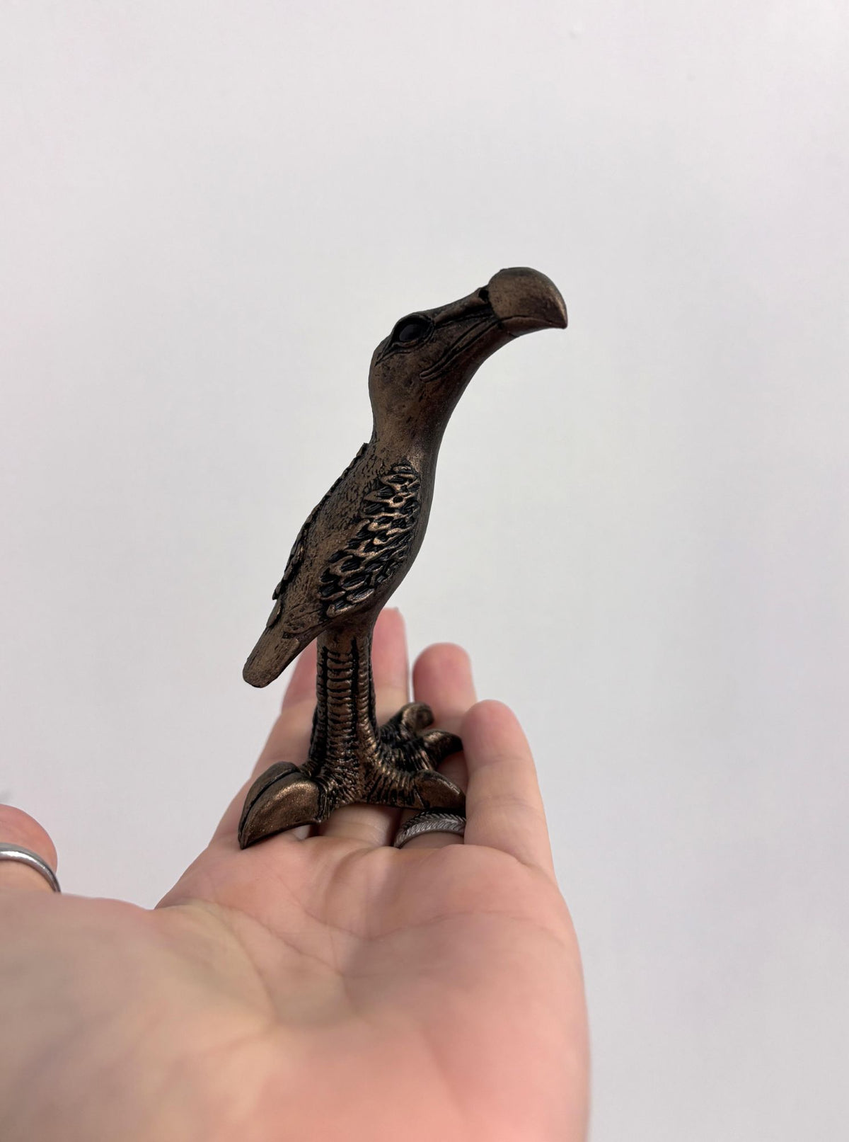 Mini Bird Curved Beak